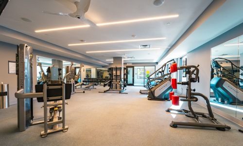 Large fitness center with large windows and plenty of equipment